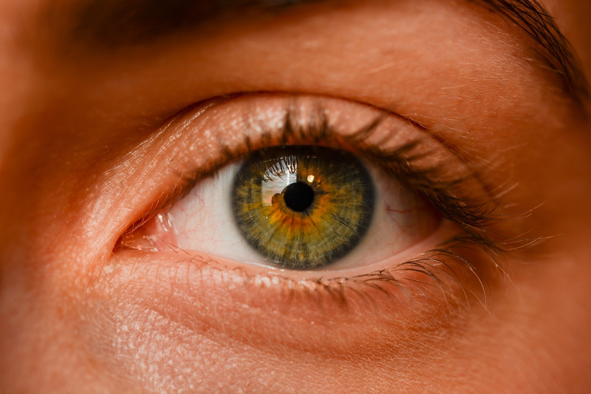 eye-gbf1d859db_1920